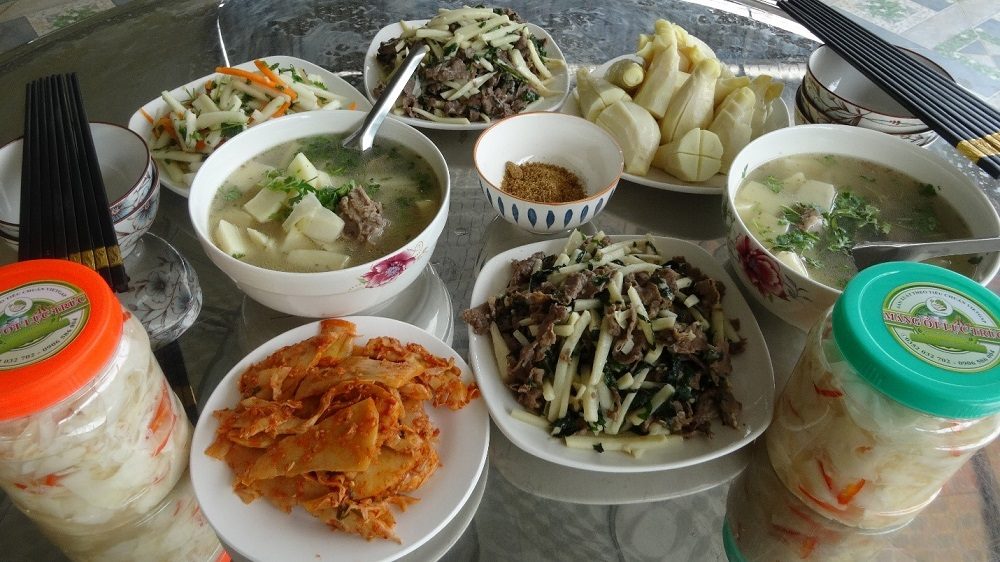 HTX DVNN Măng Lục Trúc Xuân Hanh – Hành trình biến những đồi keo thành đồi “đất vàng” HTX DVNN Măng Lục Trúc Xuân Hanh – Hành trình biến những đồi keo thành đồi “đất vàng”