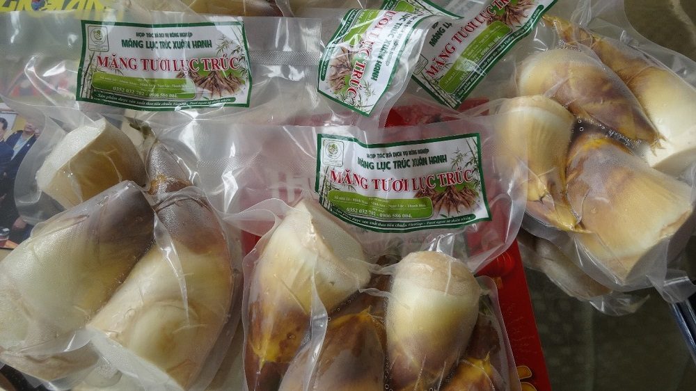 HTX DVNN Măng Lục Trúc Xuân Hanh – Hành trình biến những đồi keo thành đồi “đất vàng” HTX DVNN Măng Lục Trúc Xuân Hanh – Hành trình biến những đồi keo thành đồi “đất vàng”