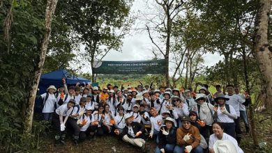 Ngày Cộng đồng L’Oréal: Kết nối tinh thần đoàn kết và lan tỏa ảnh hưởng tích cực tại Việt Nam