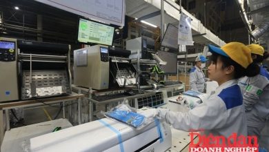 FDI 7 tháng: Vốn mở rộng tăng tốc, niềm tin nhà đầu tư bền vững FDI 7 tháng: Vốn mở rộng tăng tốc, niềm tin nhà đầu tư bền vững