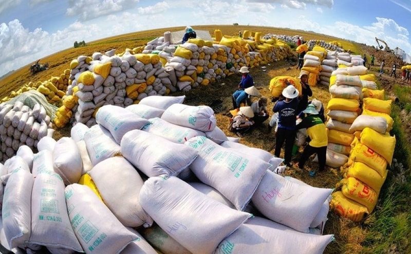 “Vượt mặt” Thái Lan, Việt Nam thành Á quân xuất khẩu gạo thế giới “Vượt mặt” Thái Lan, Việt Nam thành Á quân xuất khẩu gạo thế giới
