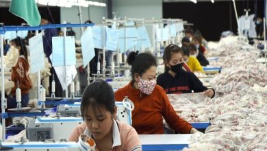 174.000 doanh nghiệp gia nhập thị trường, tín hiệu phục hồi rõ nét