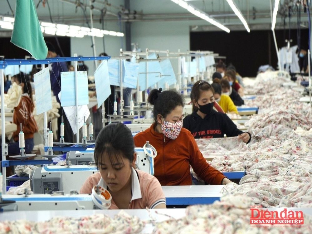 174.000 doanh nghiệp gia nhập thị trường, tín hiệu phục hồi rõ nét 174.000 doanh nghiệp gia nhập thị trường, tín hiệu phục hồi rõ nét