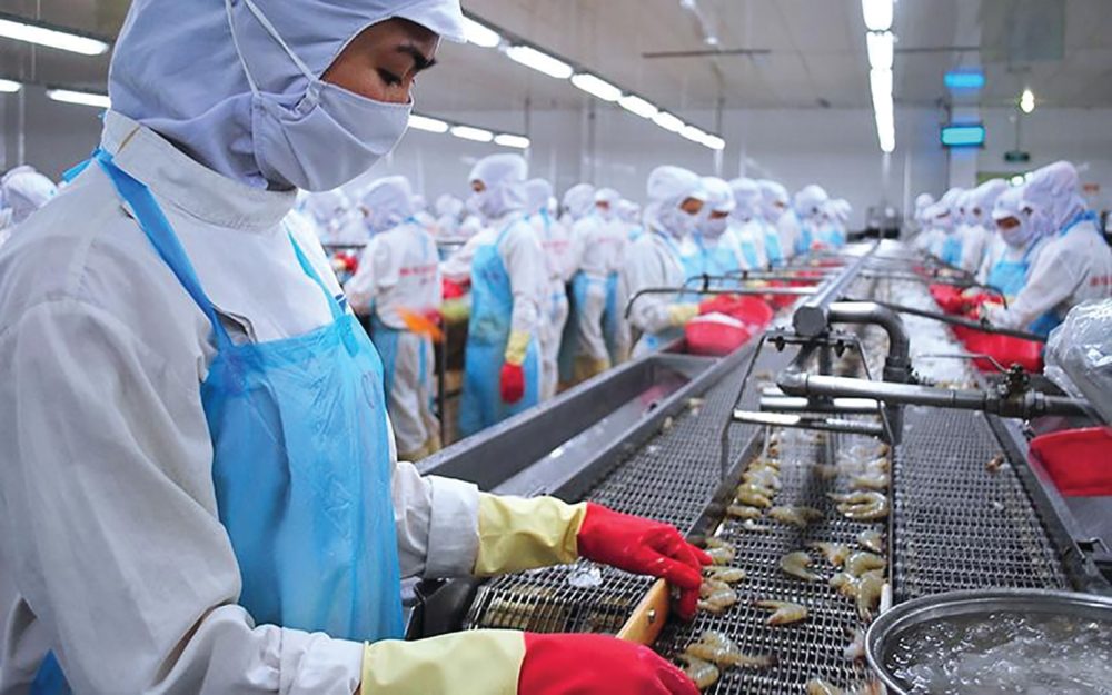 Cuộc “tập dượt” của thủy sản Cuộc “tập dượt” của thủy sản