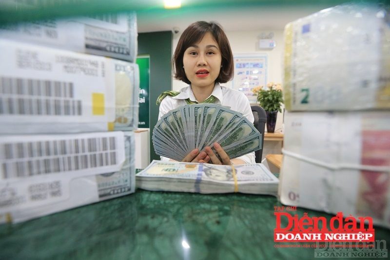 Áp lực tỷ giá USD/VND trong tuần công bố thuế quan Áp lực tỷ giá USD/VND trong tuần công bố thuế quan