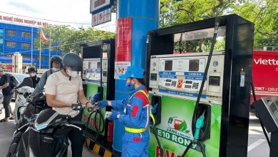 Xăng E10 và câu hỏi lớn về niềm tin chính sách Xăng E10 và câu hỏi lớn về niềm tin chính sách