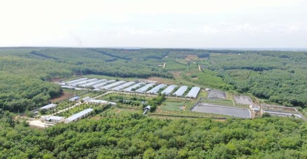 C.P. Việt Nam: Hành trình xanh vun đắp nền nông nghiệp bền vững
