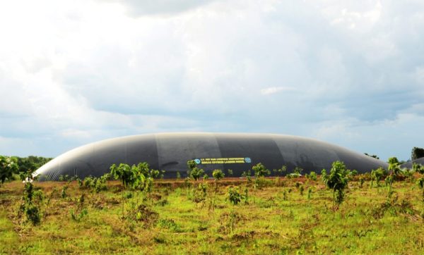 C.P. Việt Nam: Hành trình xanh vun đắp nền nông nghiệp bền vững C.P. Việt Nam: Hành trình xanh vun đắp nền nông nghiệp bền vững