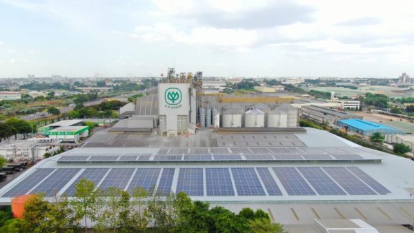 C.P. Việt Nam: Hành trình xanh vun đắp nền nông nghiệp bền vững C.P. Việt Nam: Hành trình xanh vun đắp nền nông nghiệp bền vững