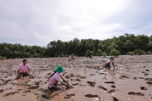 C.P. Việt Nam: Hành trình xanh vun đắp nền nông nghiệp bền vững C.P. Việt Nam: Hành trình xanh vun đắp nền nông nghiệp bền vững