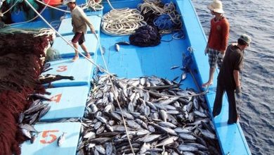 Việt Nam đề nghị Mỹ xem xét lại quyết định về 12 nghề khai thác hải sản