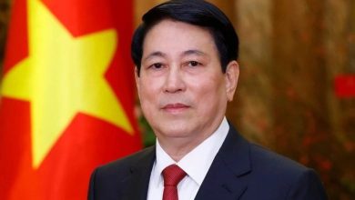 Nền tảng vững chắc trong hợp tác Việt Nam - Hoa Kỳ và Liên Hợp Quốc Nền tảng vững chắc trong hợp tác Việt Nam - Hoa Kỳ và Liên Hợp Quốc