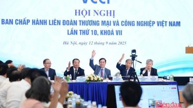8 tháng đầu năm, hoạt động của VCCI đạt được nhiều kết quả tích cực
