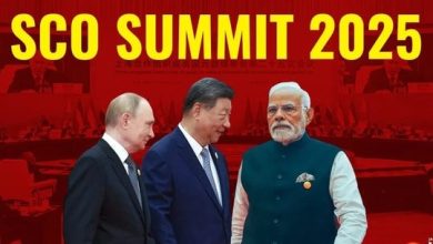 SCO sẽ “xoa dịu” nỗi lo thuế quan? SCO sẽ “xoa dịu” nỗi lo thuế quan?