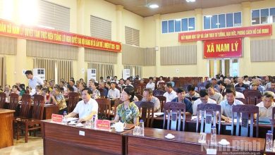 Ninh Bình: Tổ chức hội nghị tập huấn nâng cao kiến thức, kỹ năng về trợ giúp pháp lý cho cán bộ cơ sở Ninh Bình: Tổ chức hội nghị tập huấn nâng cao kiến thức, kỹ năng về trợ giúp pháp lý cho cán bộ cơ sở