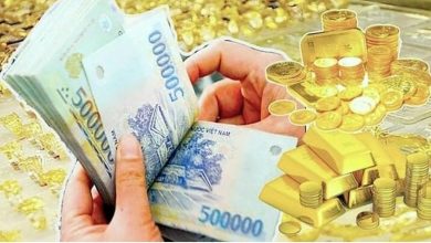 Lãi suất chững lại sau nhịp tăng, vàng và tỷ giá ngược chiều Lãi suất chững lại sau nhịp tăng, vàng và tỷ giá ngược chiều