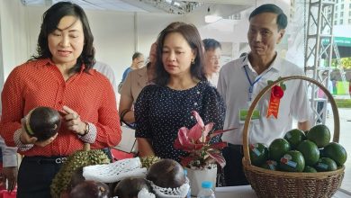 Hội chợ triển lãm hàng Công nghiệp Nông thôn năm 2025 Hội chợ triển lãm hàng Công nghiệp Nông thôn năm 2025