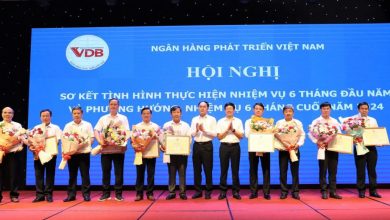 VDB đẩy mạnh phong trào thi đua, phấn đấu hoàn thành nhiệm vụ cơ cấu lại hoạt động VDB đẩy mạnh phong trào thi đua, phấn đấu hoàn thành nhiệm vụ cơ cấu lại hoạt động