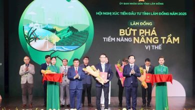 Lâm Đồng kêu gọi đầu tư vào 72 dự án tiềm năng Lâm Đồng kêu gọi đầu tư vào 72 dự án tiềm năng