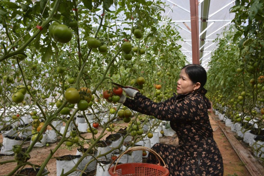 Lâm Đồng kêu gọi đầu tư vào 72 dự án tiềm năng Lâm Đồng kêu gọi đầu tư vào 72 dự án tiềm năng