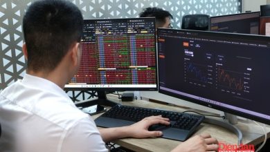 Hiệu ứng cú sốc giảm mạnh, VN-Index liệu có nhanh chóng phục hồi? Hiệu ứng cú sốc giảm mạnh, VN-Index liệu có nhanh chóng phục hồi?