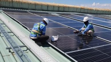 Để đạt Net Zero 2050, Việt Nam cần đầu tư thêm 8–10 tỷ USD/năm cho NLTT Để đạt Net Zero 2050, Việt Nam cần đầu tư thêm 8–10 tỷ USD/năm cho NLTT