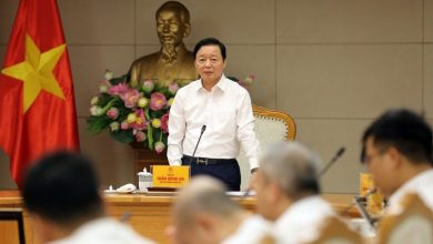 Đẩy nhanh tiến độ xây dựng cơ sở dữ liệu đất đai Đẩy nhanh tiến độ xây dựng cơ sở dữ liệu đất đai