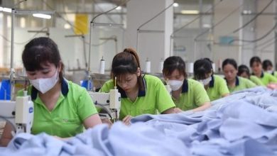 Nhiều ngành được hưởng lợi từ khung thỏa thuận thương mại Việt Nam và Mỹ Nhiều ngành được hưởng lợi từ khung thỏa thuận thương mại Việt Nam và Mỹ