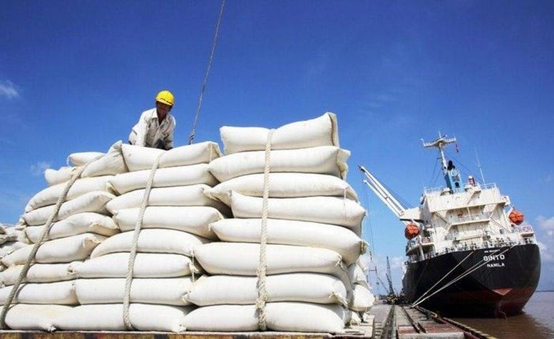 Gỡ “nút thắt” trong quy định về kinh doanh xuất khẩu gạo Gỡ “nút thắt” trong quy định về kinh doanh xuất khẩu gạo