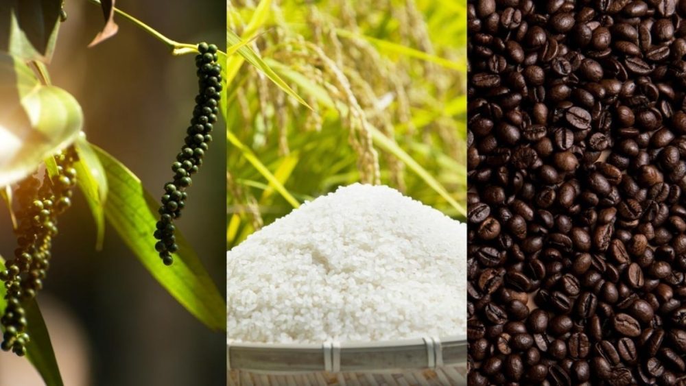 Tư duy hội nhập của doanh nhân Việt Nam Tư duy hội nhập của doanh nhân Việt Nam