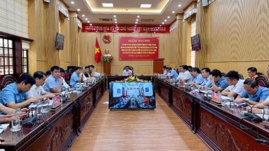 Ninh Bình đẩy mạnh thực thi pháp luật, bảo đảm chính quyền địa phương hai cấp hoạt động thông suốt Ninh Bình đẩy mạnh thực thi pháp luật, bảo đảm chính quyền địa phương hai cấp hoạt động thông suốt