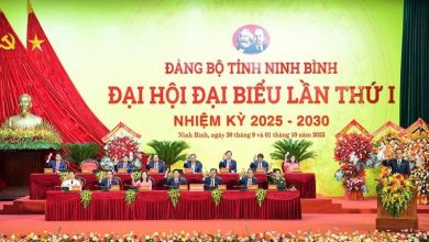 Ninh Bình định vị khát vọng trở thành thành phố trực thuộc Trung ương vào năm 2030 Ninh Bình định vị khát vọng trở thành thành phố trực thuộc Trung ương vào năm 2030