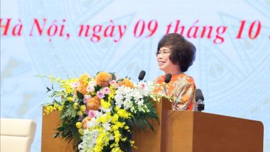 Anh hùng Lao động Thái Hương: Cần có những cơ chế, chính sách phù hợp cho từng thời kỳ Anh hùng Lao động Thái Hương: Cần có những cơ chế, chính sách phù hợp cho từng thời kỳ