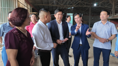 Kết nối giao thương, thúc đẩy hợp tác doanh nghiệp