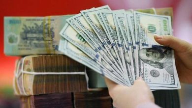 Tỷ giá ảnh hưởng tới biên lợi nhuận các nhóm ngành ra sao? Tỷ giá ảnh hưởng tới biên lợi nhuận các nhóm ngành ra sao?