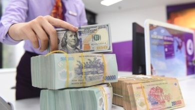 Kỳ vọng NHNN sẽ tiếp tục bơm ròng hỗ trợ thanh khoản Kỳ vọng NHNN sẽ tiếp tục bơm ròng hỗ trợ thanh khoản