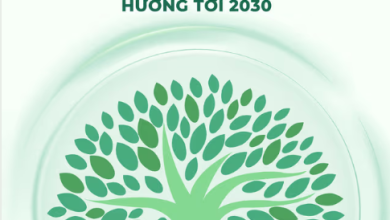 Mời tham gia khảo sát Sách hỏi – đáp “Thị trường carbon dành cho doanh nghiệp nhỏ và vừa tại Việt Nam, hướng tới năm 2030”