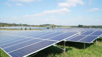 Lâm Đồng với mục tiêu thu hút đầu tư công nghiệp, năng lượng xanh, bền vững Lâm Đồng với mục tiêu thu hút đầu tư công nghiệp, năng lượng xanh, bền vững