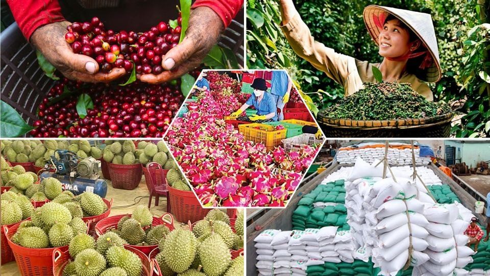 Để thuế không trở thành “điểm nghẽn” của chuỗi cung ứng nông sản