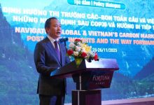 Việt Nam được kỳ vọng sẽ trở thành điểm sáng mới của thị trường carbon khu vực