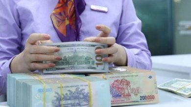 Doanh nghiệp quý III/2025: Lợi nhuận phân hóa, giảm tăng trưởng lõi