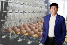 IPO tăng hàng hóa chất lượng, chờ đón vốn ngoại vào 2026