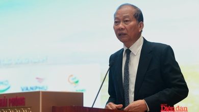 BẤT ĐỘNG SẢN HẢI PHÒNG: Tiềm năng bứt phá thành cực tăng trưởng mới