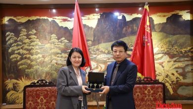 VCCI và ILO thúc đẩy hợp tác toàn diện trong giai đoạn mới