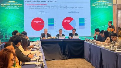 Phát triển thị trường khí thiên nhiên: Bài toán chiến lược trong chuyển dịch năng lượng