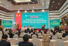 Vượt “bão” thời tiết và thị trường, VRG đạt tăng trưởng ấn tượng năm 2025