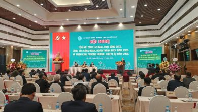 Vượt “bão” thời tiết và thị trường, VRG đạt tăng trưởng ấn tượng năm 2025 Vượt “bão” thời tiết và thị trường, VRG đạt tăng trưởng ấn tượng năm 2025