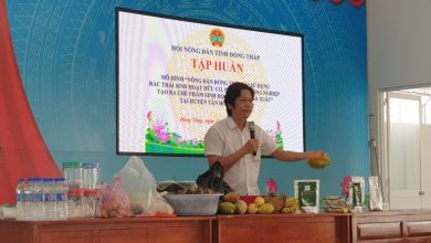 Cán bộ Đoàn tiên phong xây dựng mô hình tái chế chất thải nông nghiệp bền vững