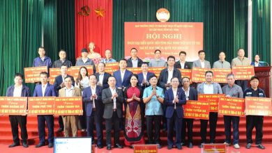 Công ty Đông Đô góp sức đưa chuyển đổi số đến từng thôn, xóm xã Lâm Thao