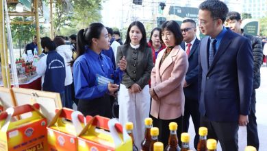 Triển lãm sản phẩm khởi nghiệp của thanh niên mở rộng liên kết sản xuất – tiêu dùng